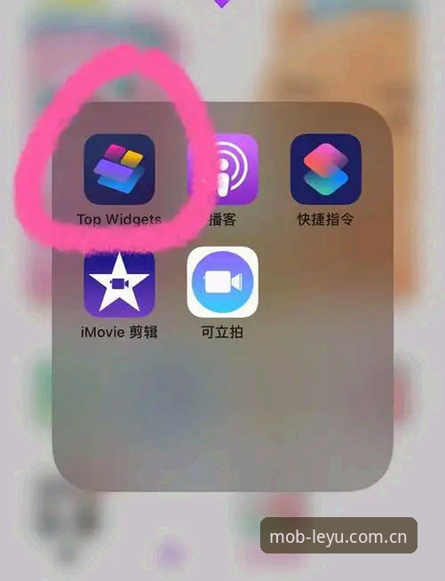 LEYU手机版登录入口CN版iOS版操作教程，避开这3个坑